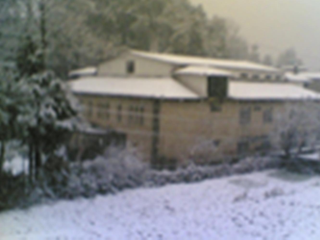 Hotel Langdale Manor Nainital Esterno foto